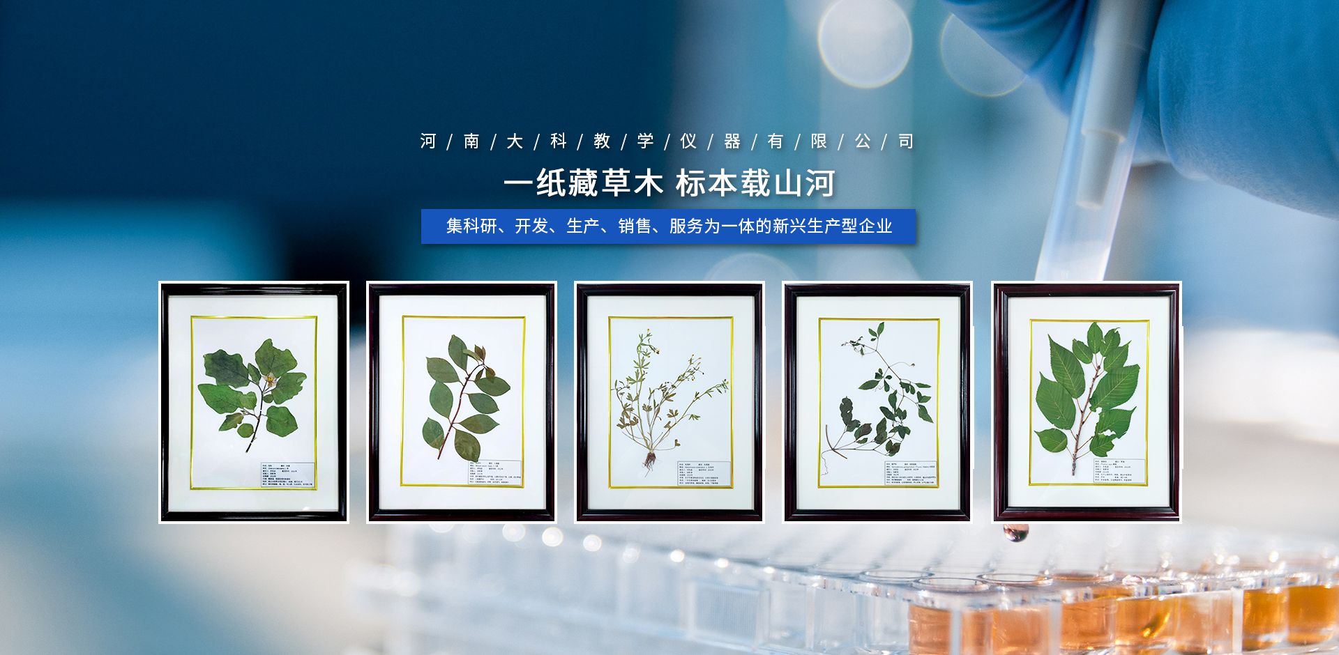 河南大科教学仪器有限公司